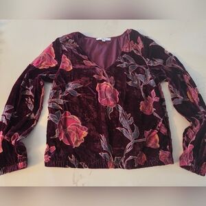 Floral Velvet V Neck Long Sleeve Top
